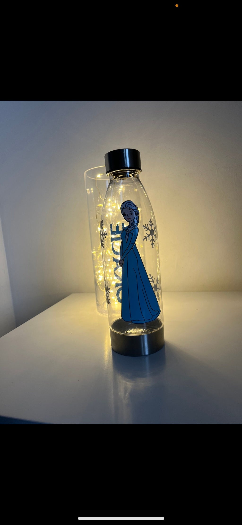 Frozen water bottle