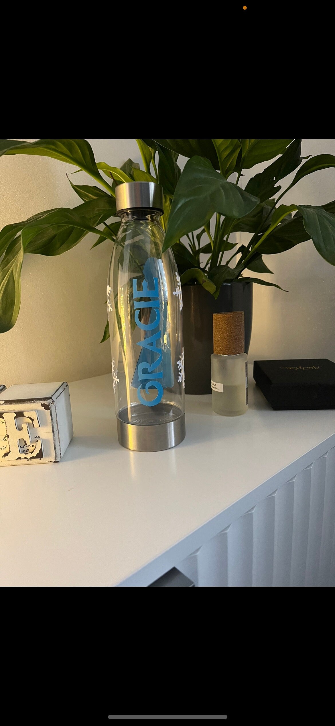 Frozen water bottle